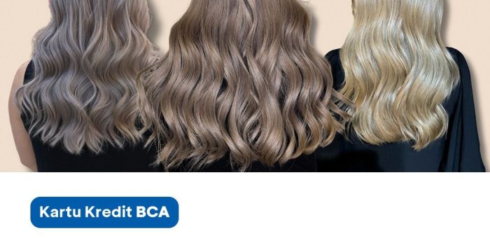 BCA PREMIUM CREDIT CARD – 20% DISCOUNT FOR ALL SERVICES